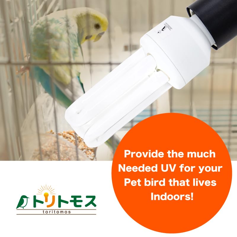Bird Cage UVB Light Combo Kit 2.4% UVB UVA 20W Compact Fluorescent Bulb P1021