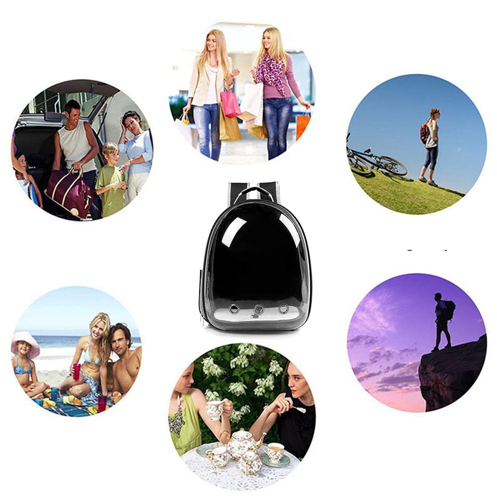Transparent Bubble Pet Backpack Carrier W53589