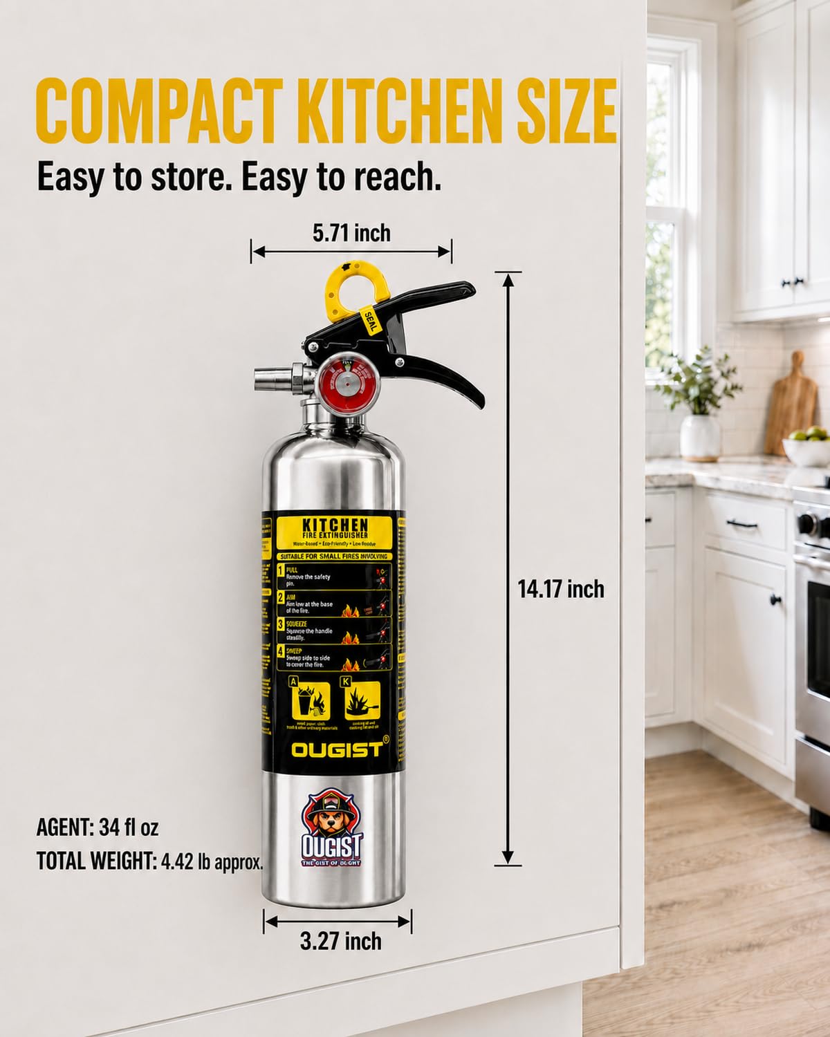 Class K Fire Extinguisher 34 Fl Oz Wet Chemical X420