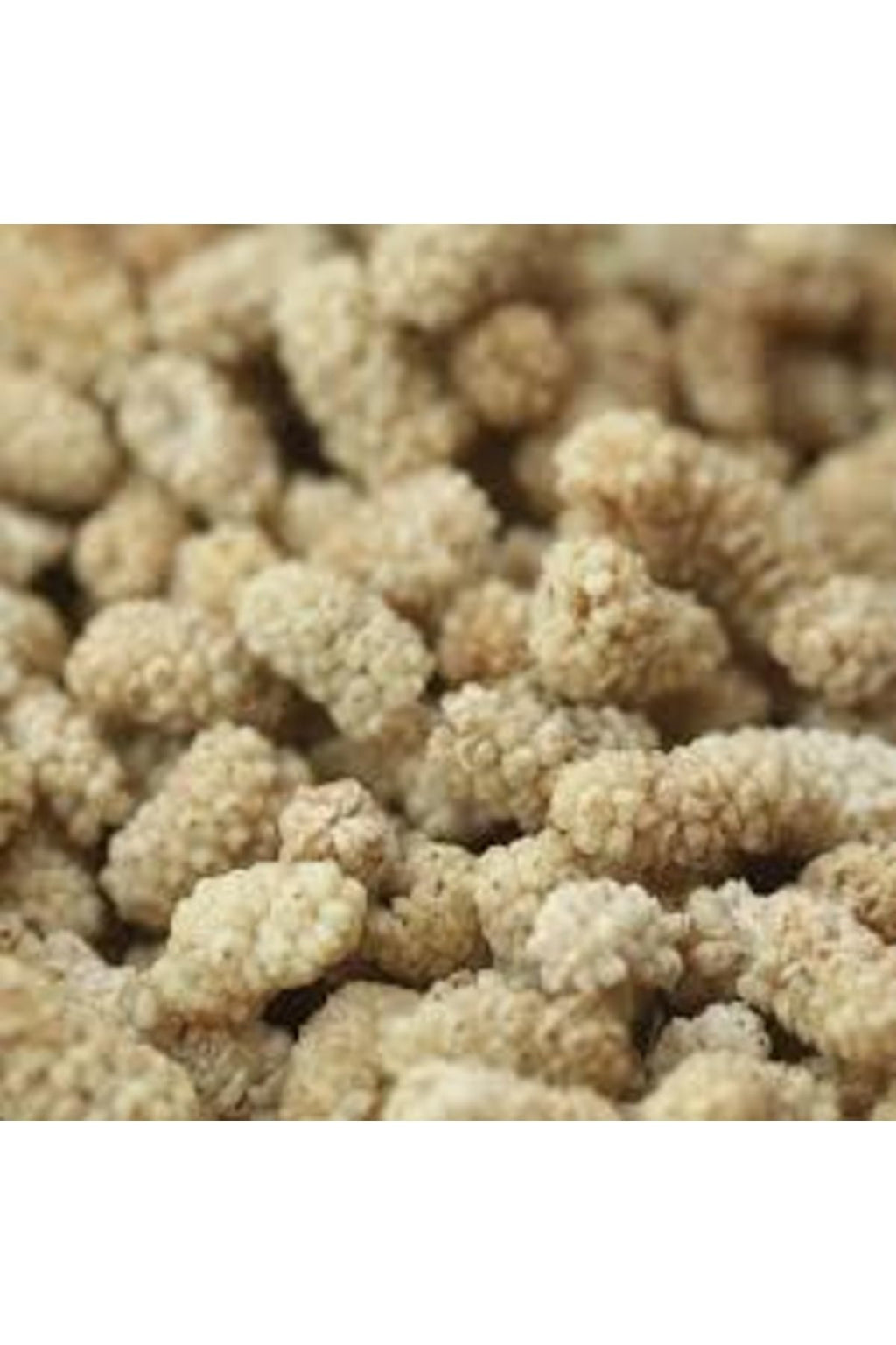 Dried White Mulberries 35.3 oz N8383