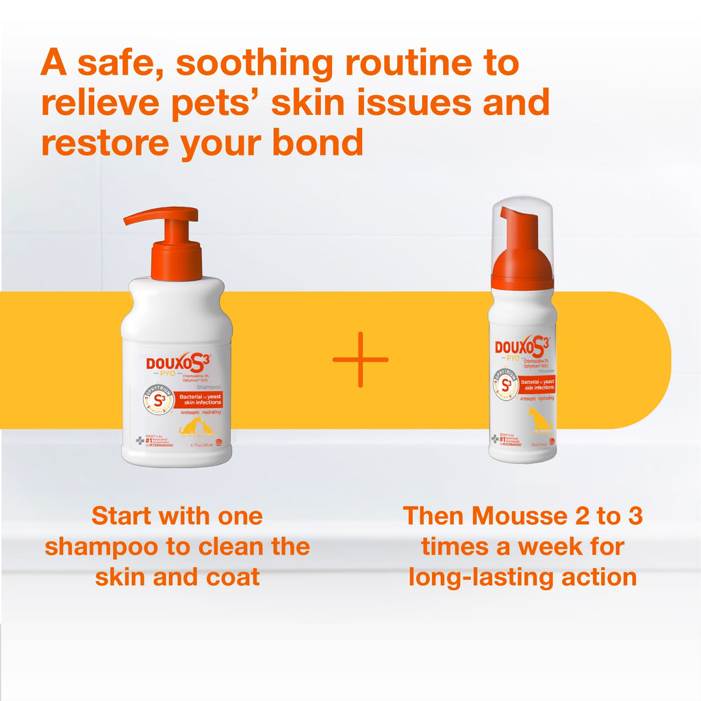 Chlorhexidine Shampoo and Mousse for Dogs Y364262