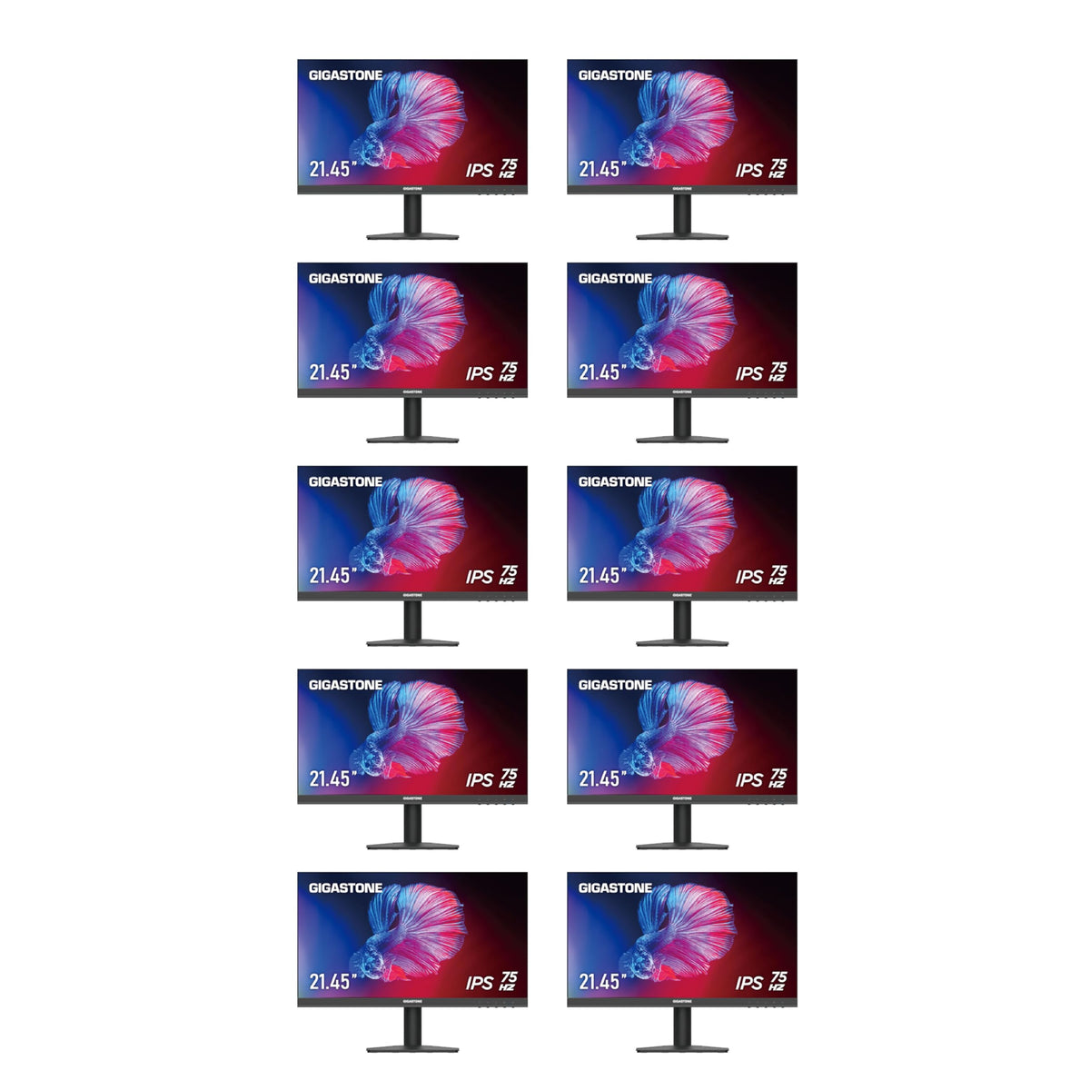 22 inch IPS LED Monitor 10-Pack 75Hz FHD Frameless F9920