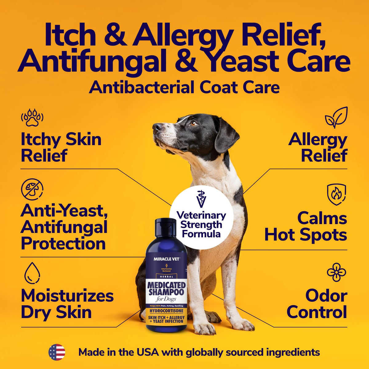 Medicated Dog Shampoo 16 oz F67377