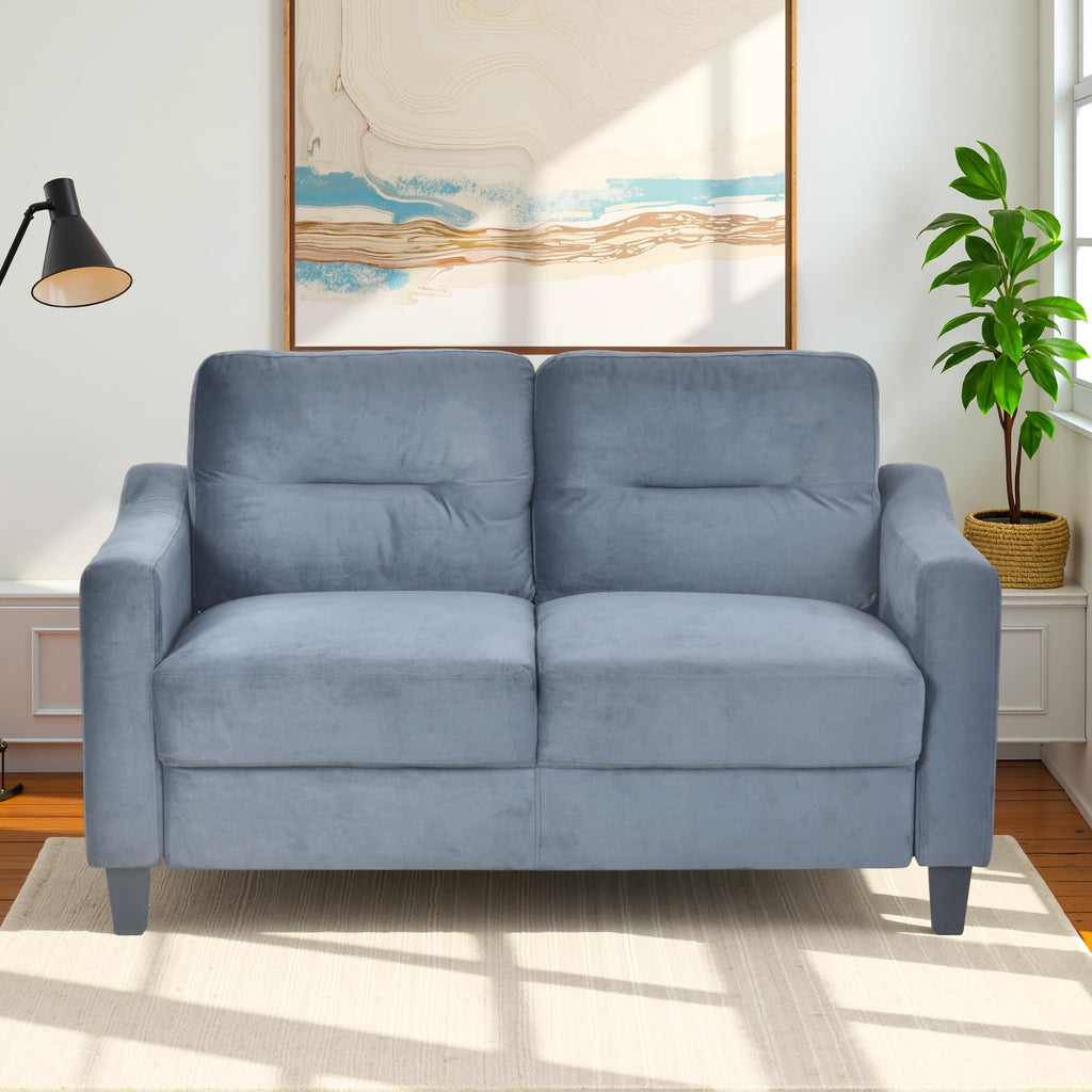 Light Gray Velvet Upholstered Loveseat Sofa M95571
