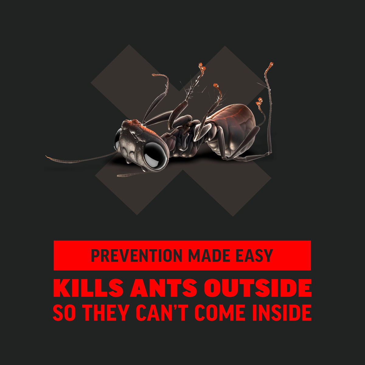 Ant Killer 12 Oz S137