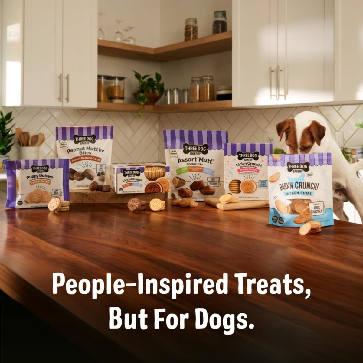 12 oz Dog Cake Bites N97076