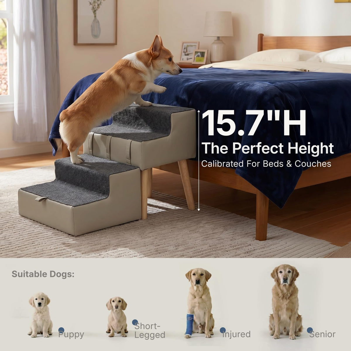 2-in-1 Foldable Dog Stairs & Ottoman H444