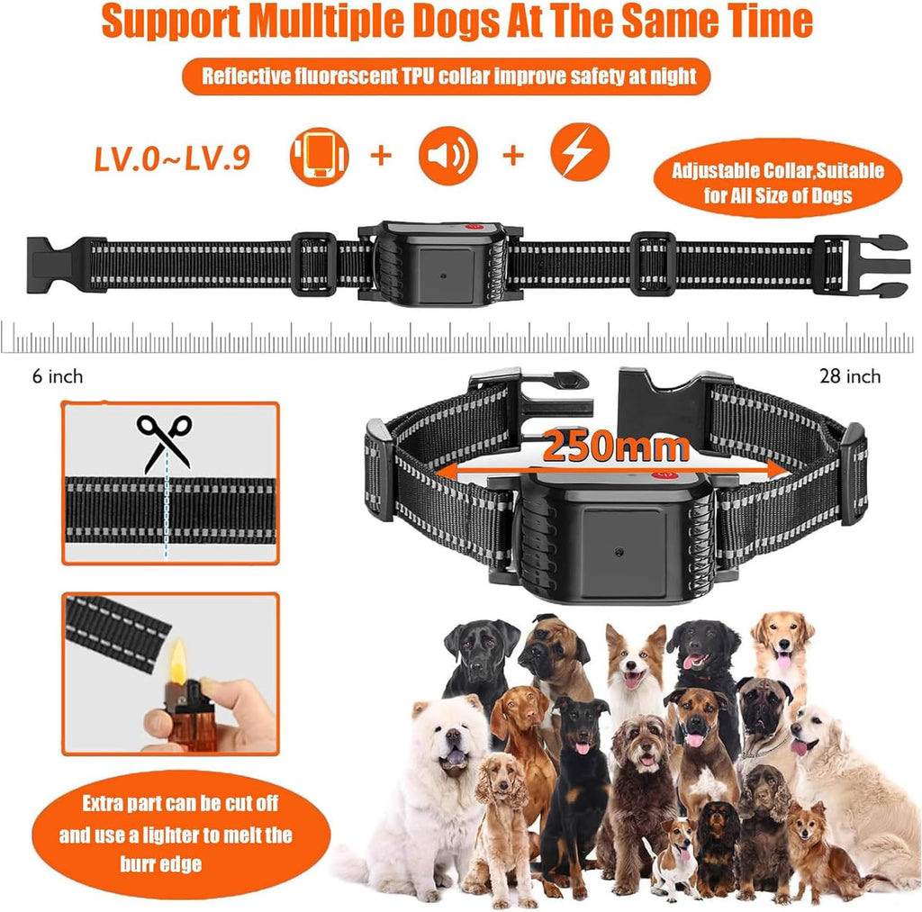 Wireless Electric Dog Fence & Training Collar 2-in-1, Waterproof Rechargeable, Up to 8 Acre Y365