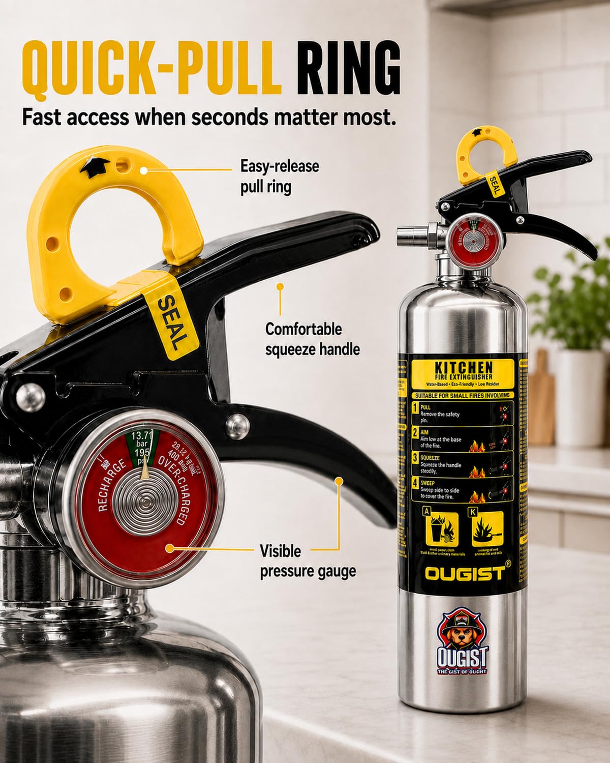 Class K Fire Extinguisher 34 Fl Oz Wet Chemical X420