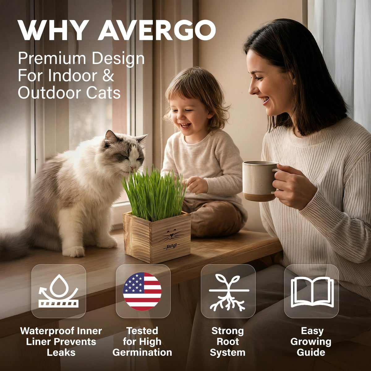 Cat Grass Kit with 2 Seed Packets B947