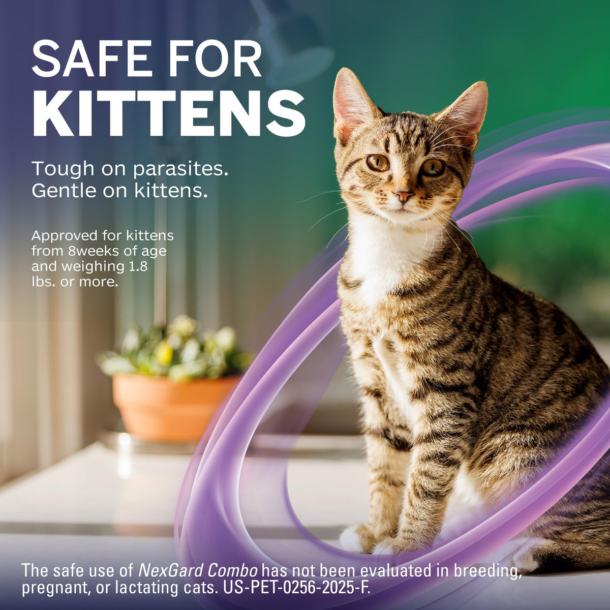 Flea and Tick Protection Plus Heartworm Disease Preventive for Cats 3 Doses Q9665