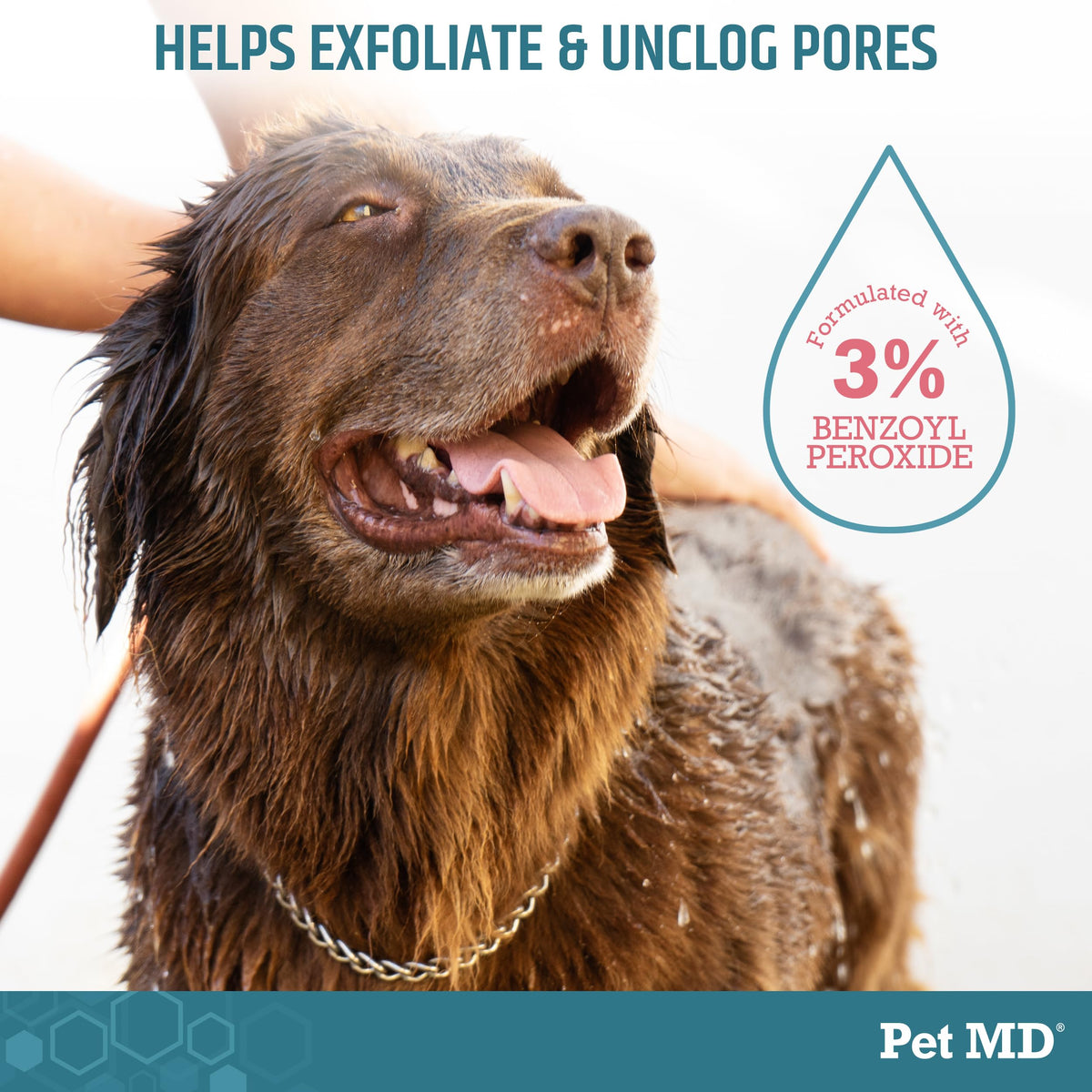 Benzoyl Peroxide Shampoo for Dogs, Cats, and Horses 12oz U83996
