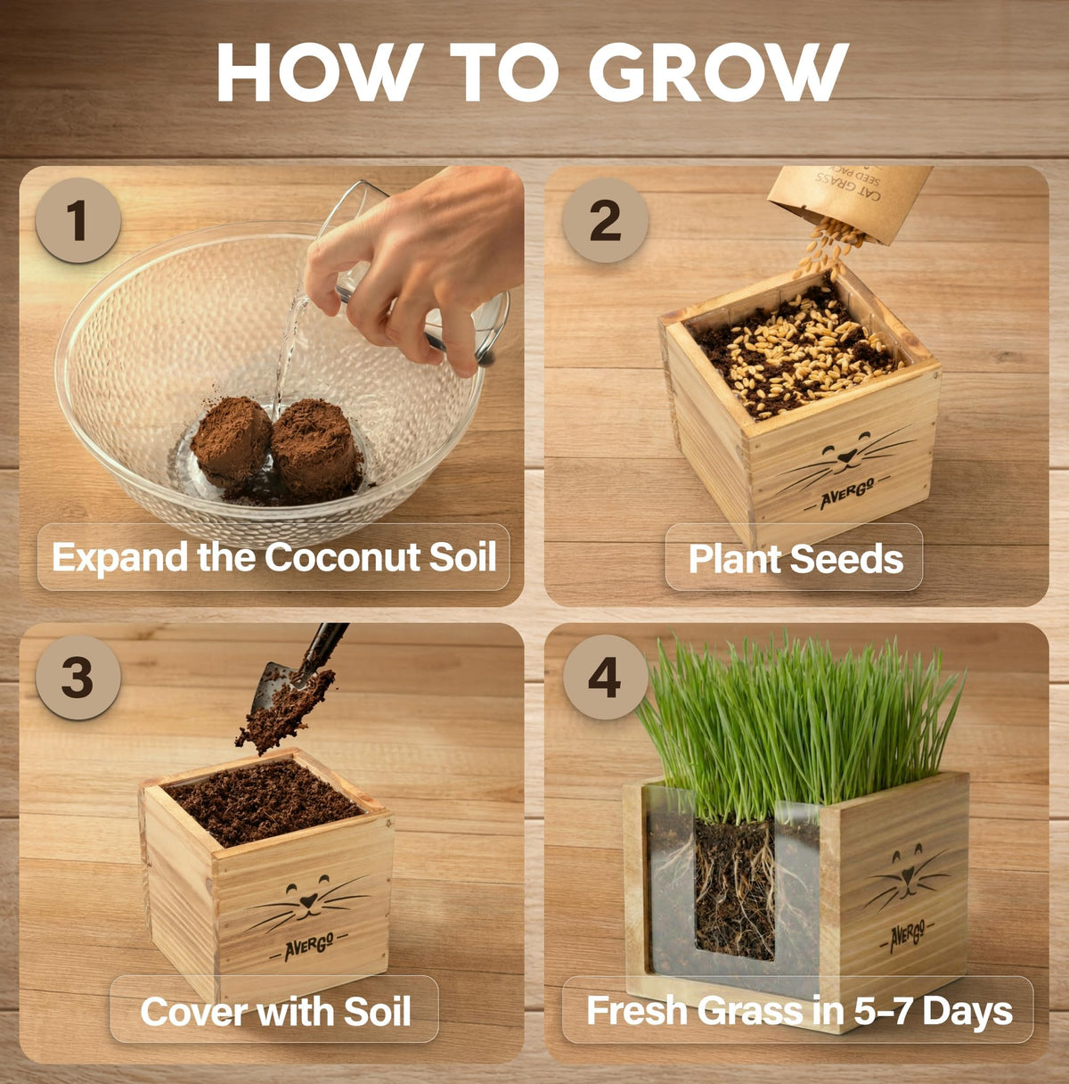 Cat Grass Kit with 2 Seed Packets B947