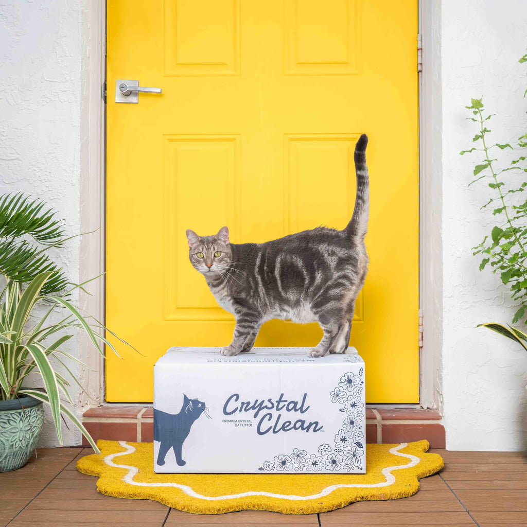 Fresh Scent Crystal Cat Litter with Odor Control, 2X4.3 Lb Bags P17447