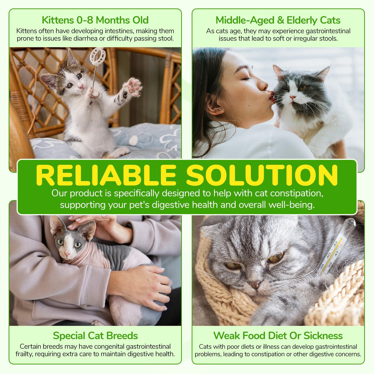 Natural Cat Laxative Liquid Stool Softener 2 fl oz S628441