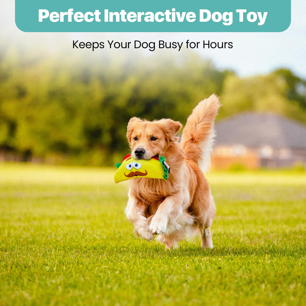 Plush Dog Toy with Squeaker J9592