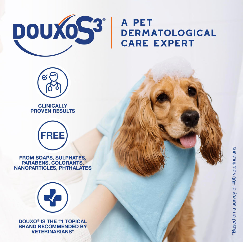 Chlorhexidine Shampoo and Mousse for Dogs Y364262