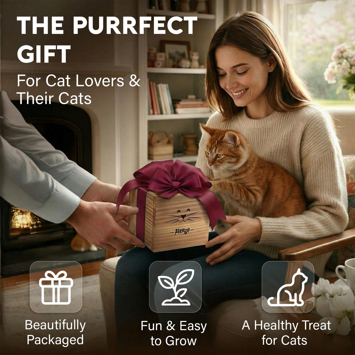 Cat Grass Kit with 2 Seed Packets B947