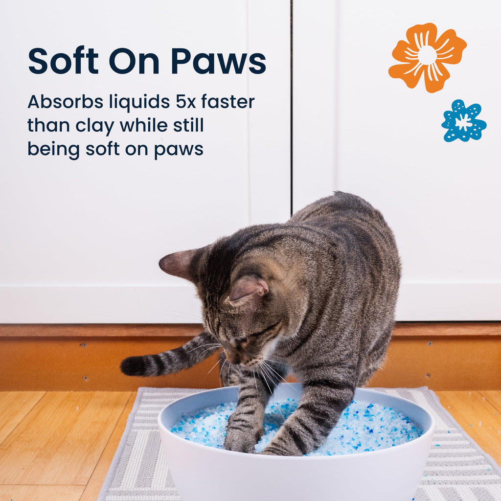 Fresh Scent Crystal Cat Litter with Odor Control, 2X4.3 Lb Bags P17447