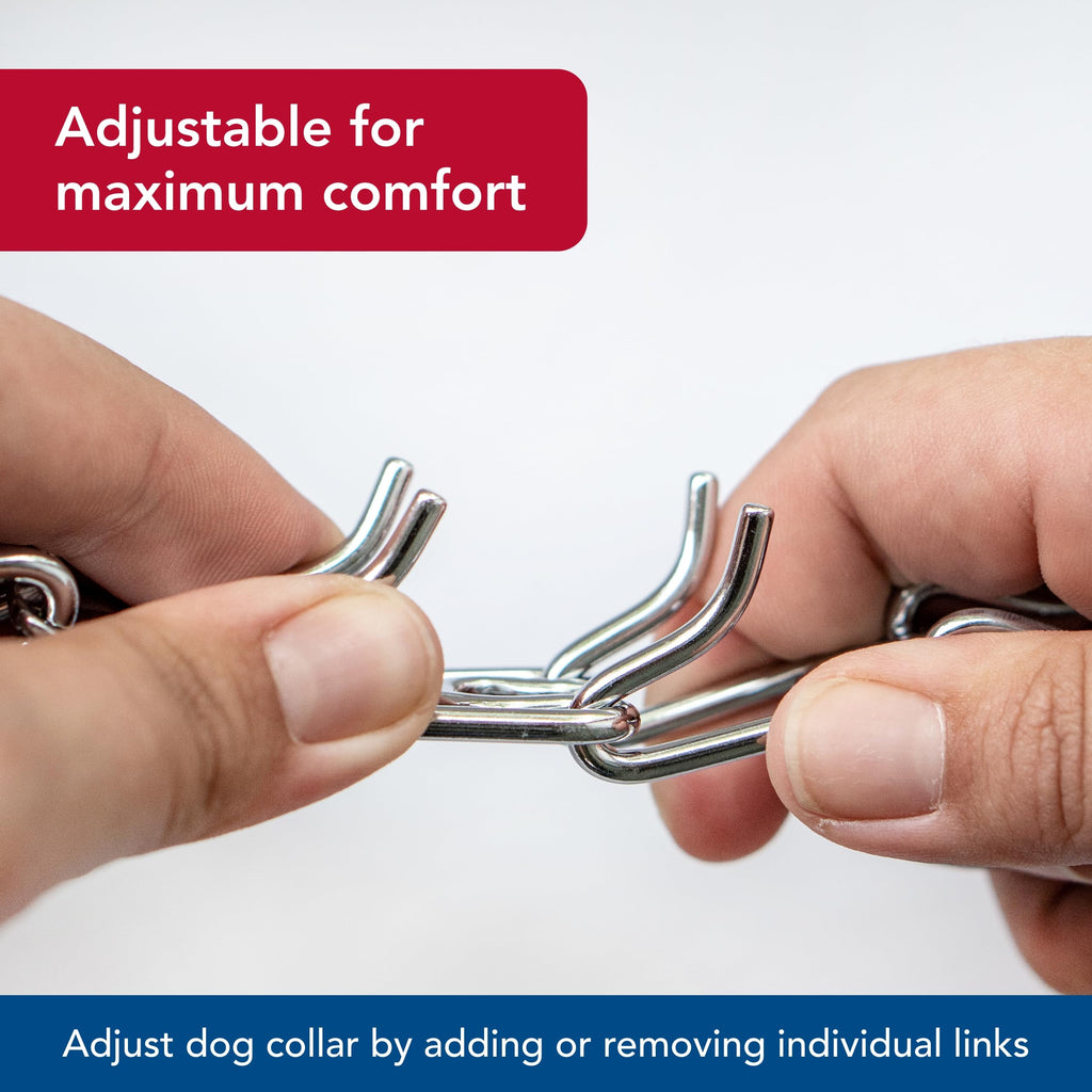 Steel Chrome Plated 3.0 mm Dog Prong Collar N41168