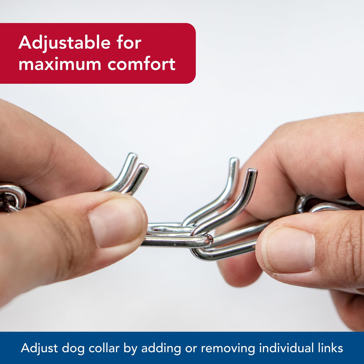 Steel Chrome Plated 3.0 mm Dog Prong Collar N41168