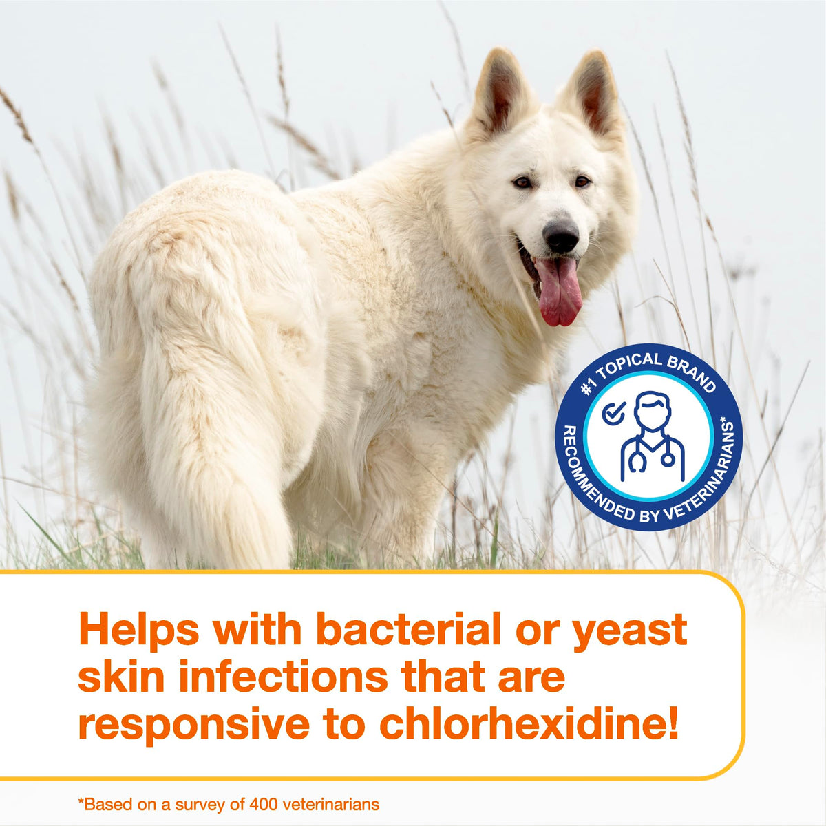 Chlorhexidine Shampoo and Mousse for Dogs Y364262