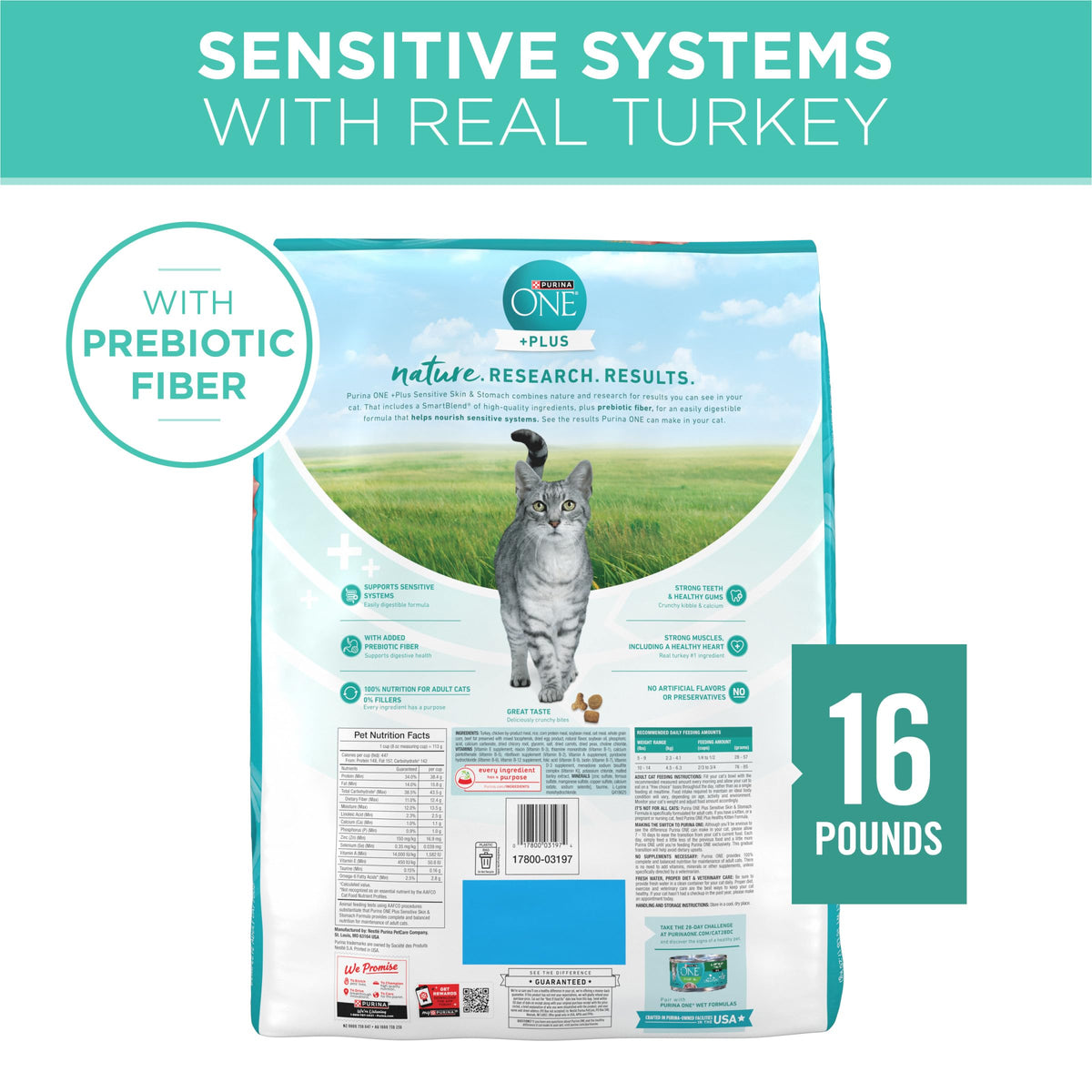 Sensitive Skin and Stomach Dry Cat Food 16 lb Bag J409062