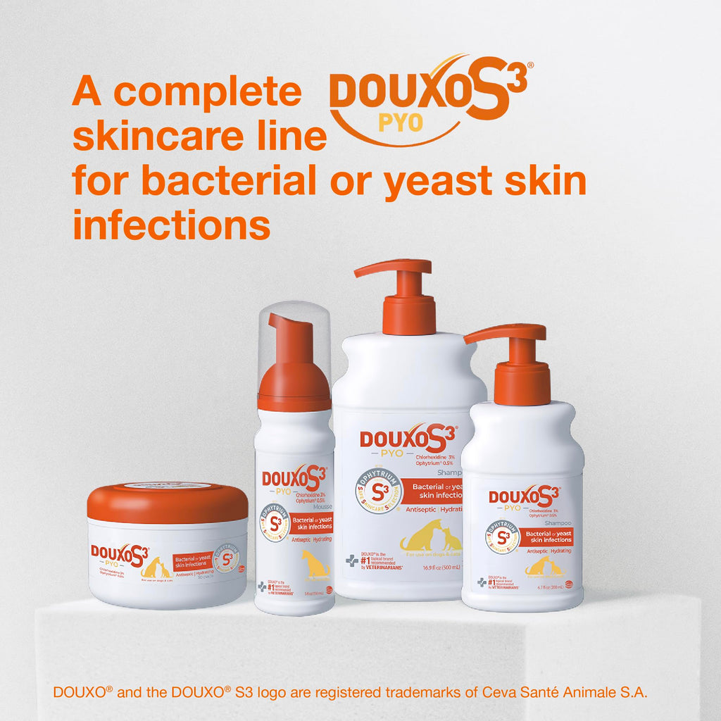 Chlorhexidine Shampoo and Mousse for Dogs Y364262