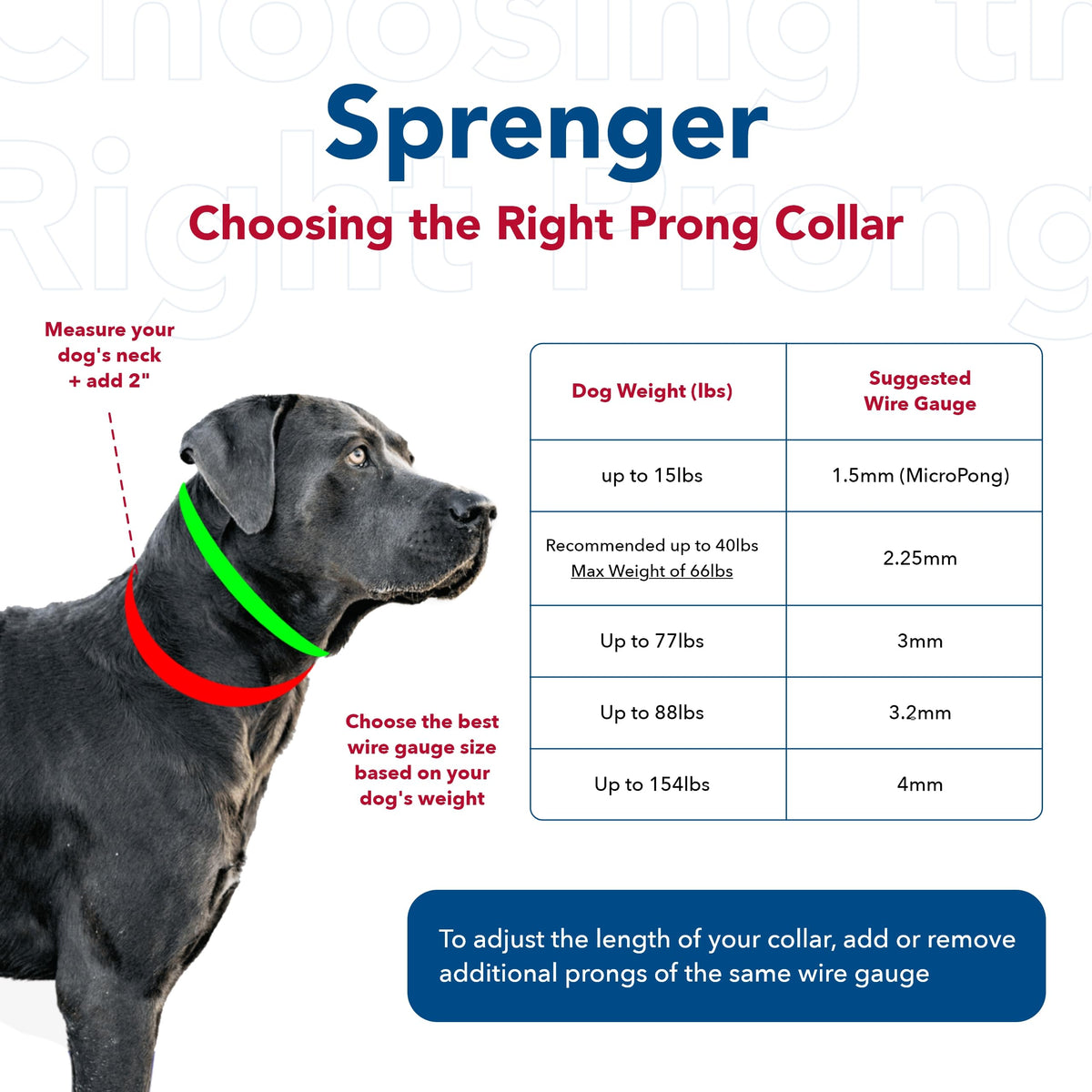 Steel Chrome Plated 3.0 mm Dog Prong Collar N41168