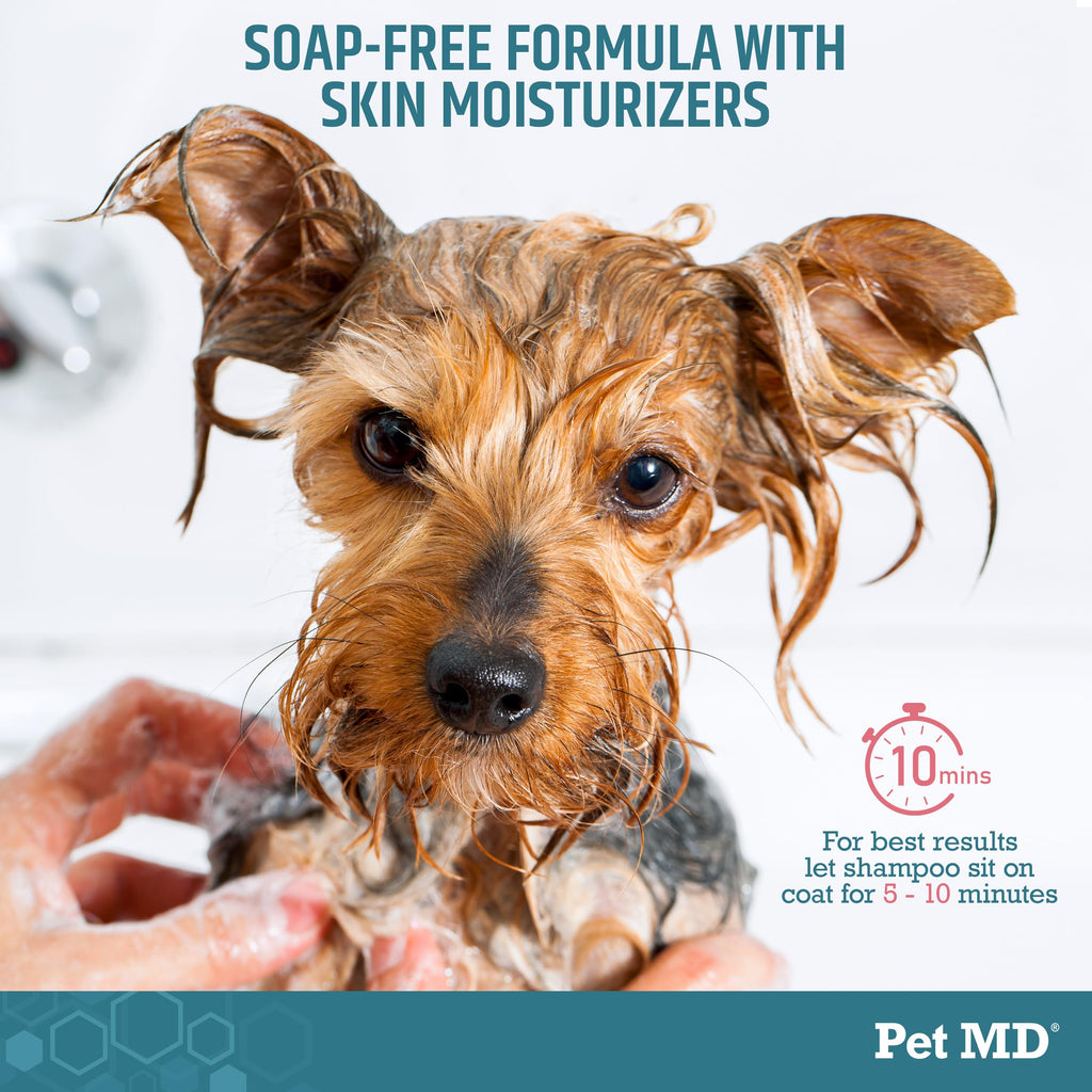 Benzoyl Peroxide Shampoo for Dogs, Cats, and Horses 12oz U83996