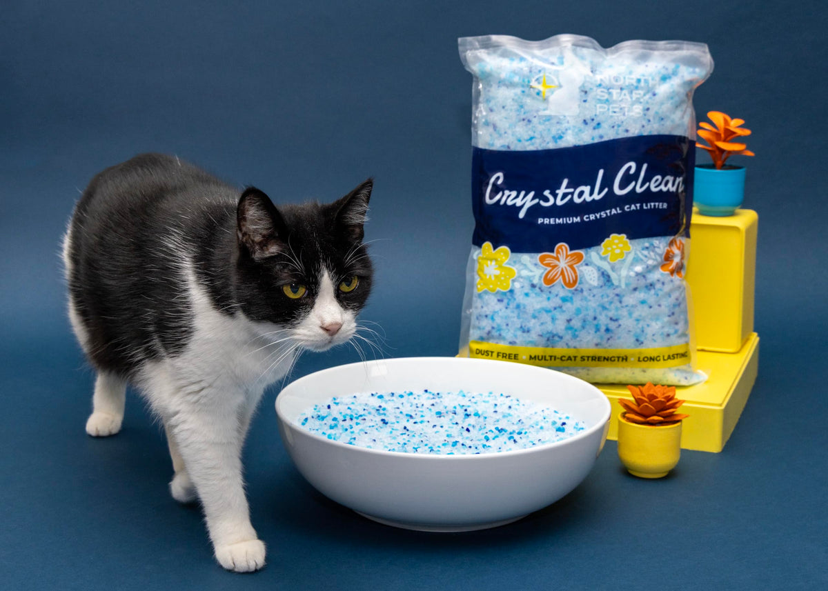 Fresh Scent Crystal Cat Litter with Odor Control, 2X4.3 Lb Bags P17447