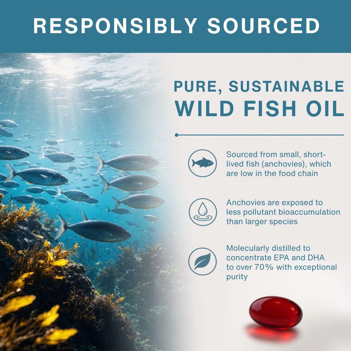Wild Fish Oil 1360mg J1253