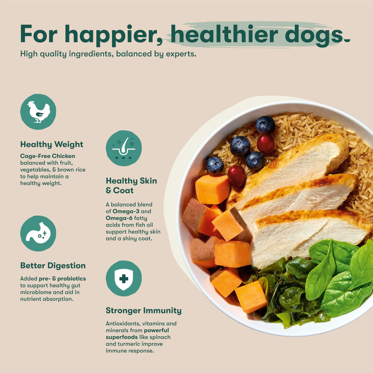 Dry Dog Food Chicken Brown Rice Sweet Potato 4lb D5738