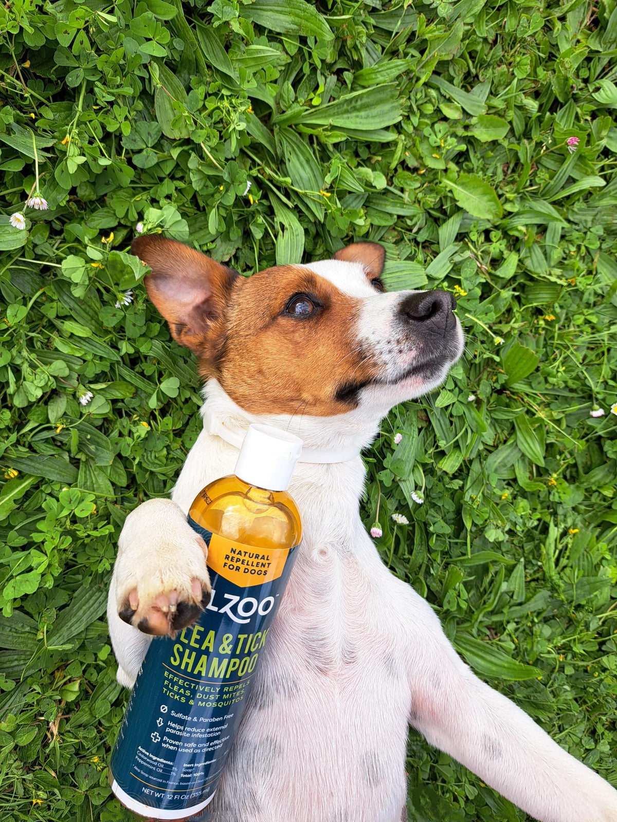 Plant Based Flea and Tick Repellent Dog Shampoo 12 Fl. Oz. K94267